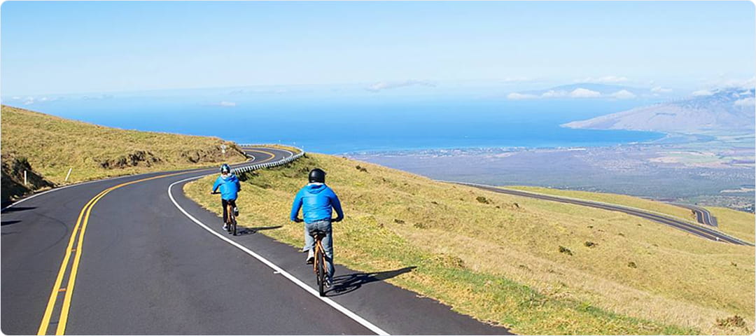 Bike Rentals