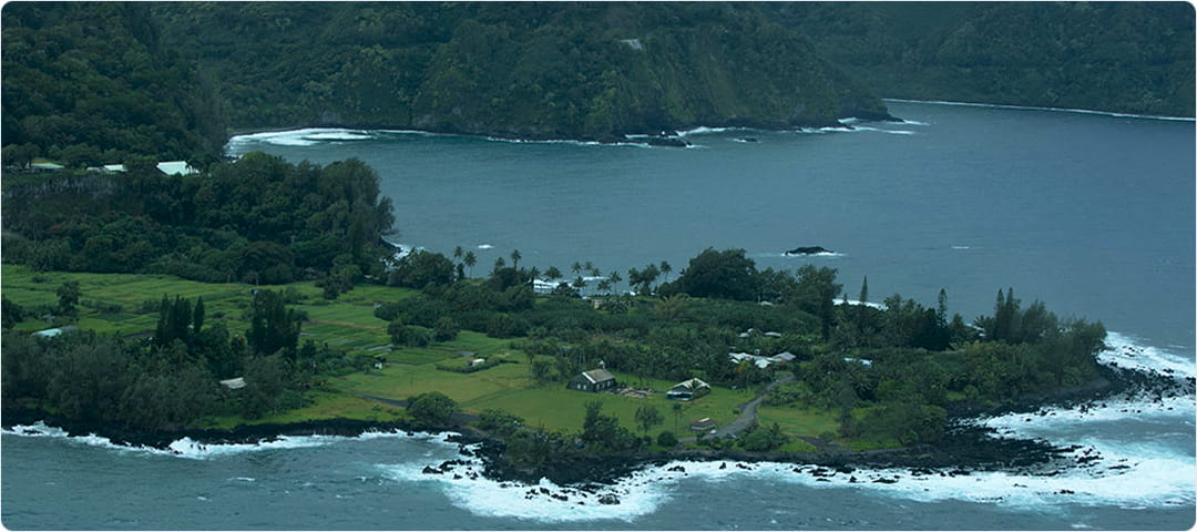 Maui Tropical Rainforest Tour