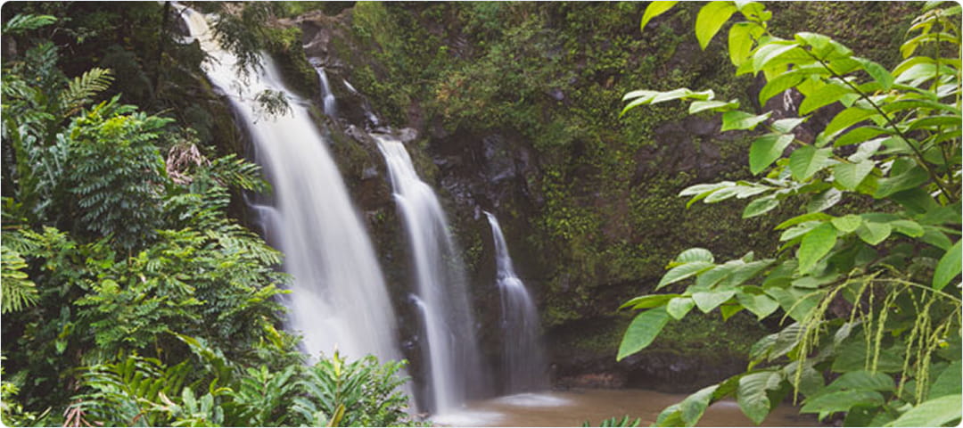 Private Road to Hana Tour
