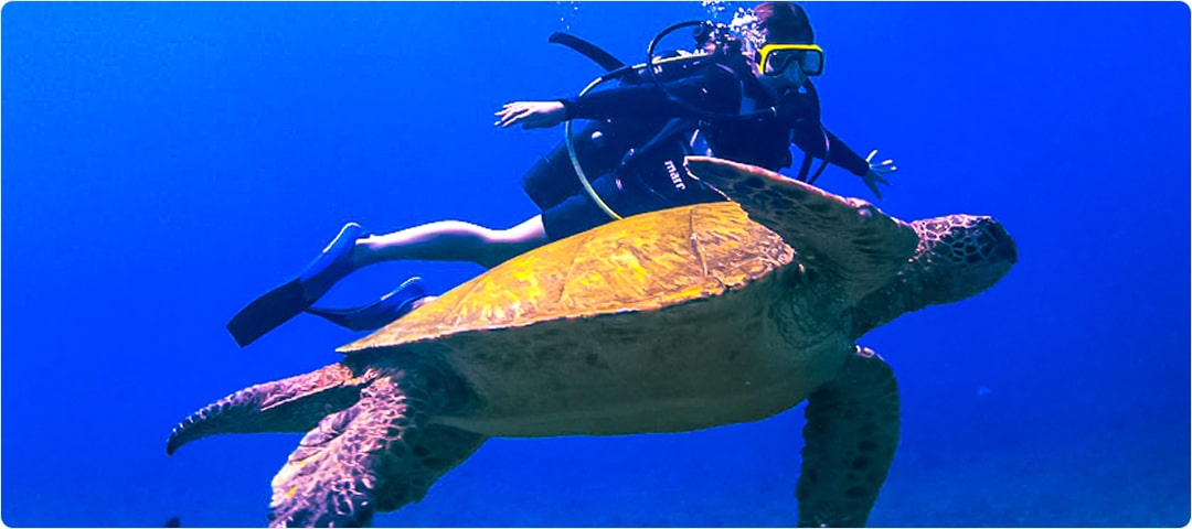 Hula Girl Snorkel Scuba Charter