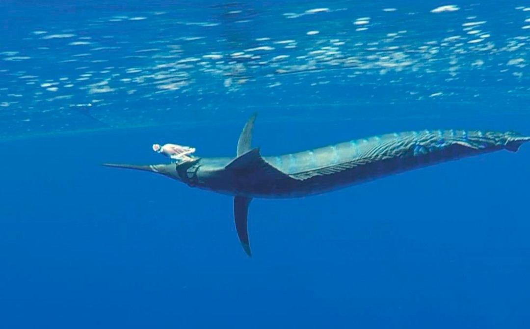 6 Hour Exclusive Private Fishing Charter