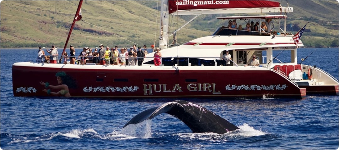 Shangri-La Sunset Whale Watch