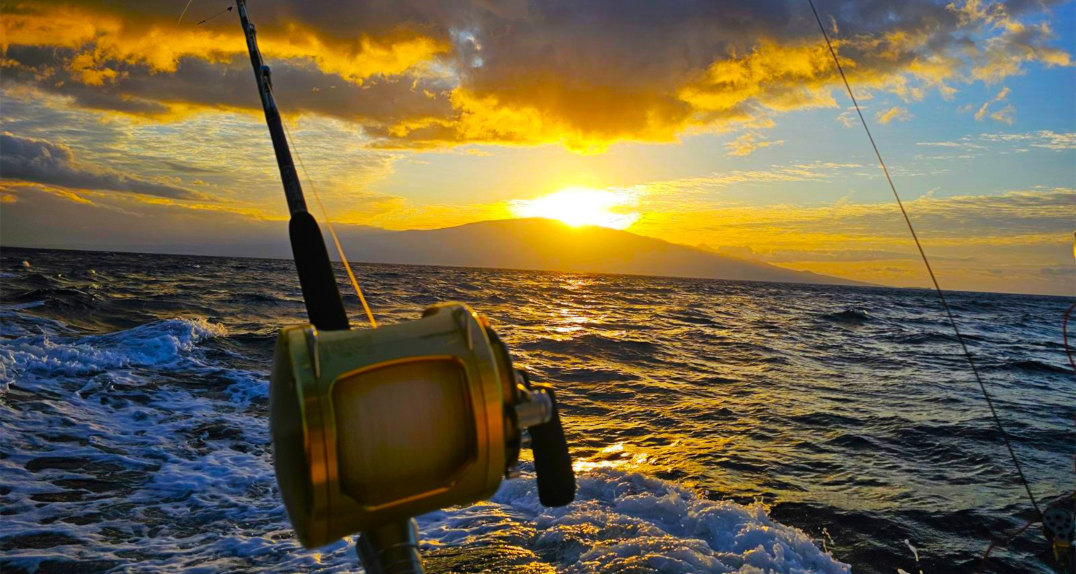 4 Hour Exclusive Private Charter Afternoon Departure